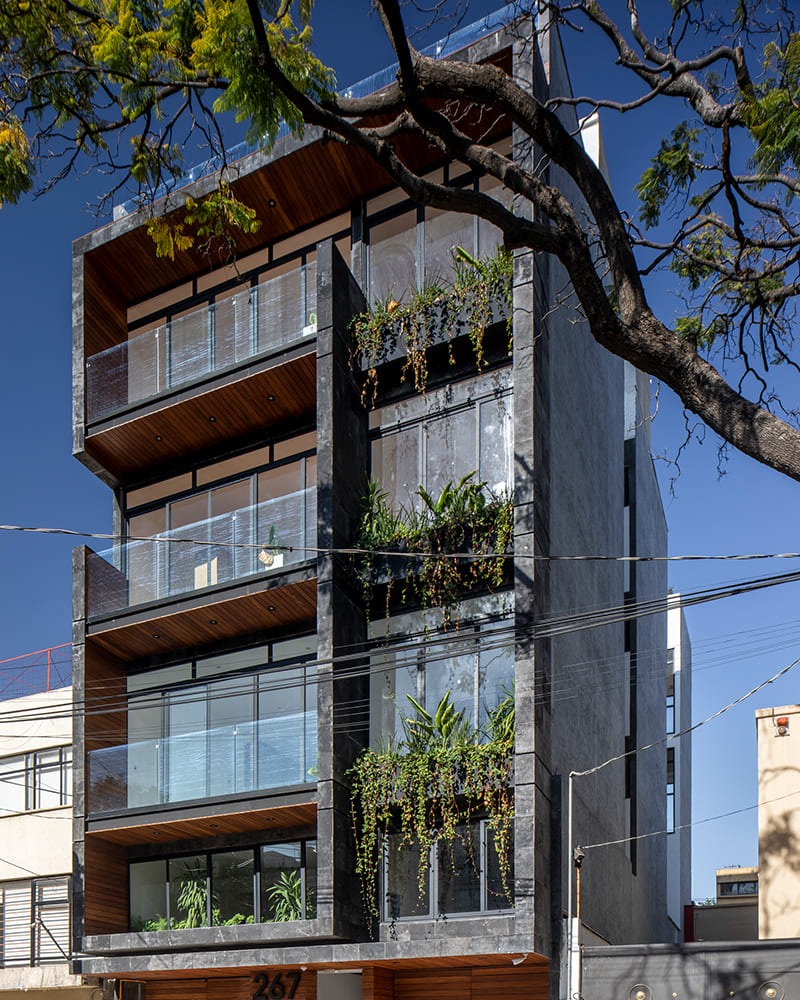 Casa Palenque — Desarrollo terminado GDC